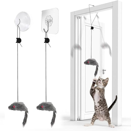 FYNIGO 2 Pcs Self Play Hanging Door Cat Mouse Toys for Bored Indoor Adult Cats Kitten
